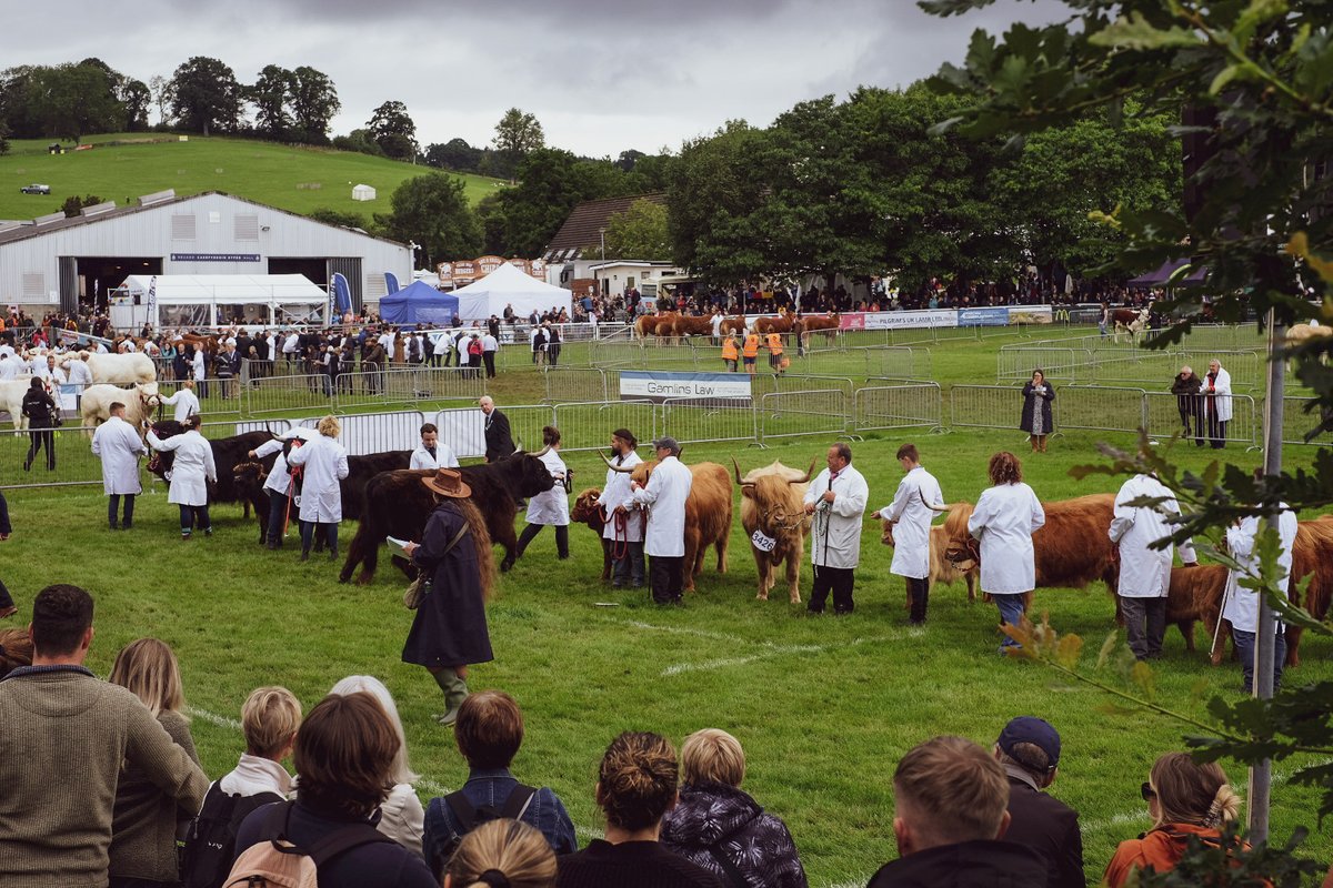 Neil Ingham (He/Him) tweet media