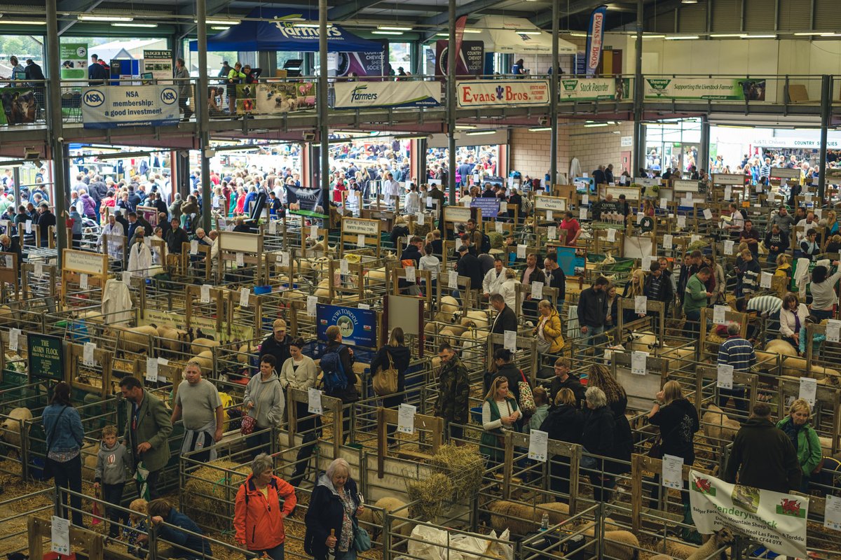 Neil Ingham (He/Him) tweet media