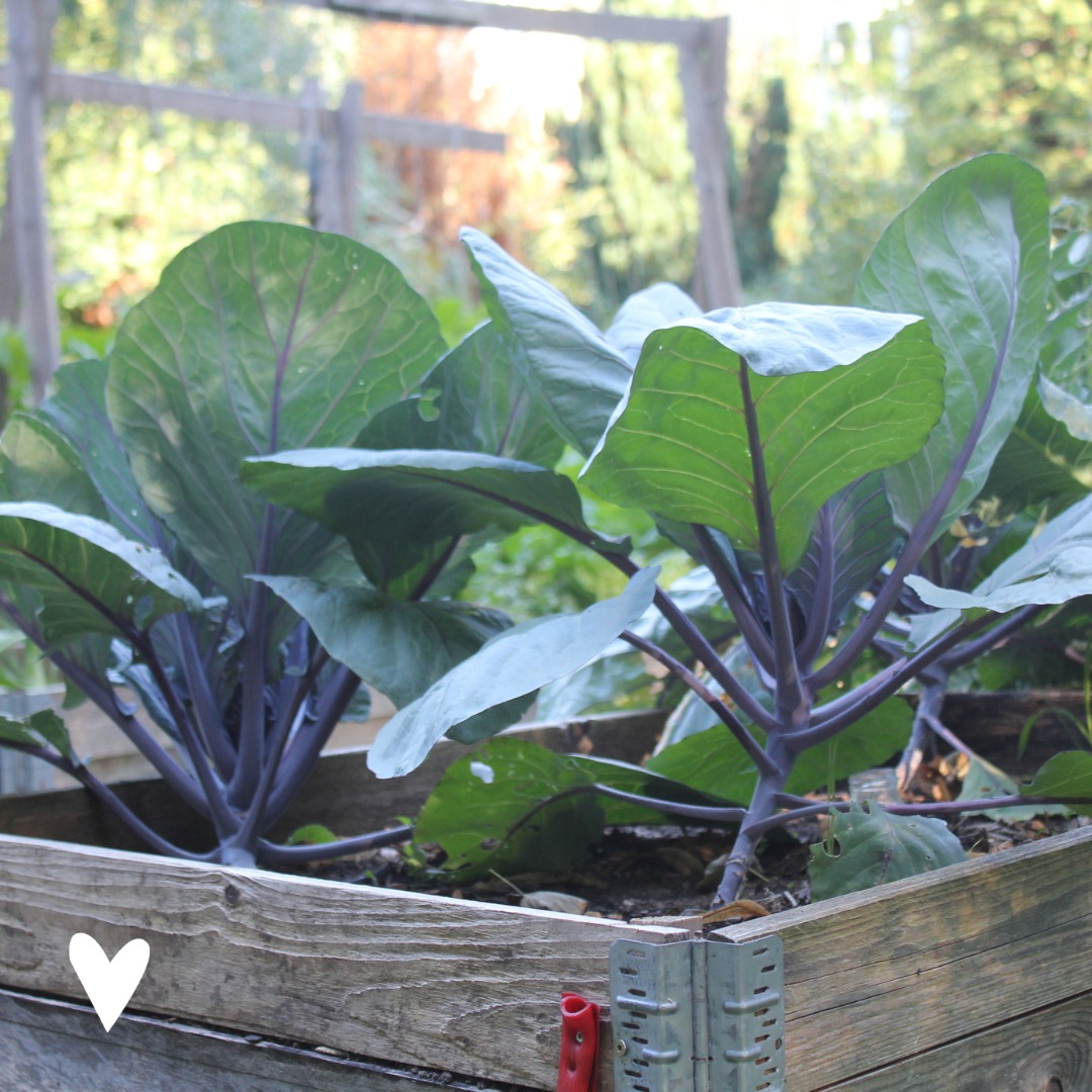 Kompotoi tweet media