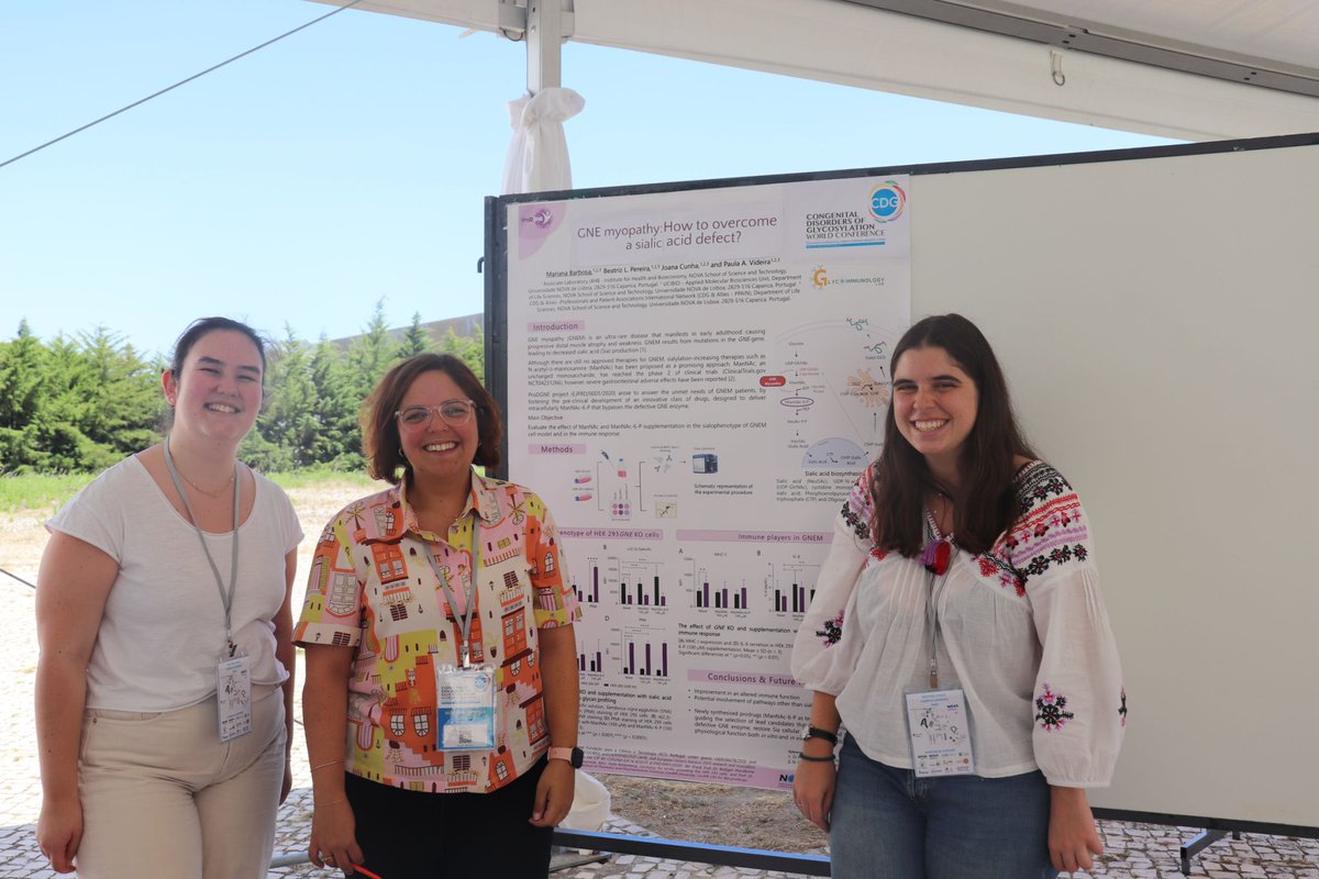 Our Glycoimmunology Group members played a vital role in organizing the 6th World Conference on Congenital Disorders of Glycosylation (CDG) at FCT-NOVA in Caparica. This event united families and experts from around the world to advance CDG research. #WCCDG #GlycoimmunologyLab