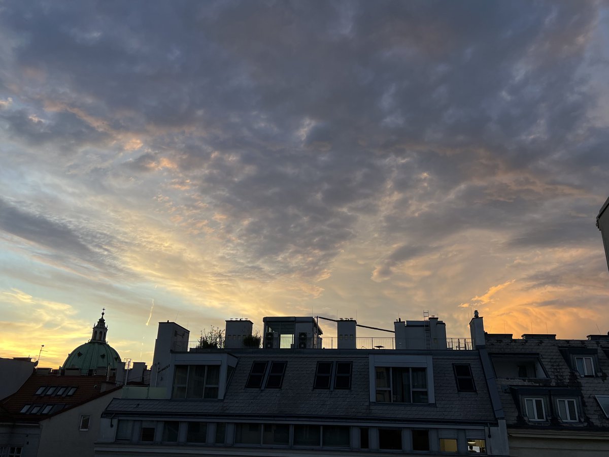 Tineke Boschma tweet media