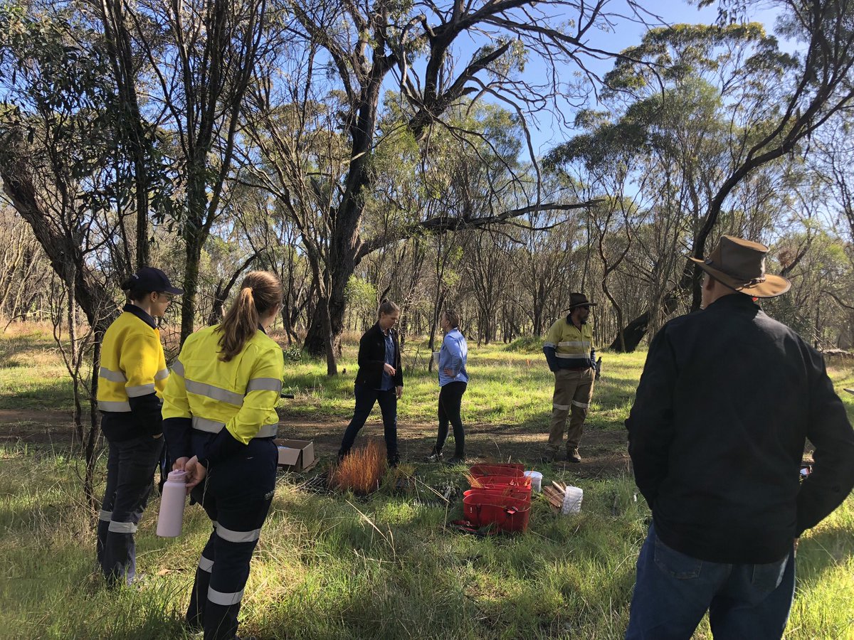We had a great day last week planting at Koompkinning (Pumphreys Bridge) with local community members. The  catering by the Pumphreys Bridge CWA and Wandering Lions was amazing. <a href="/PeelHarveyCC/">PeelHarveyCC</a>