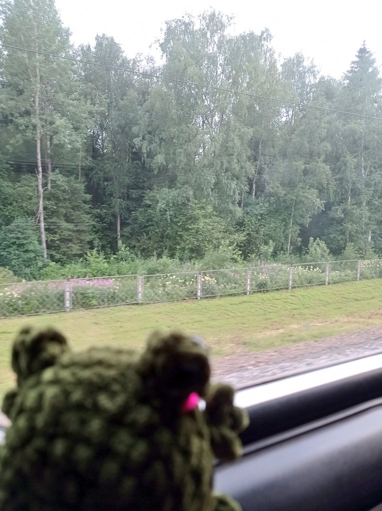 juliawade2013_'s tweet photo. Мне подарили вязаную лягушку, я свозила её в путешествие 🐸💚 https://t.co/XeuQ6LySOR