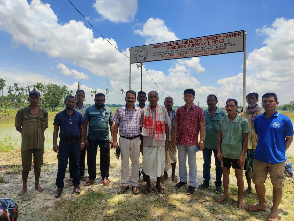 apartassam's tweet photo. Glimpses of distribution of high yielding fish seed at JB Agragami FPC, Raha on 22nd July 2023.
@WorldFishCenter
#APARTAssam #fishery #fishseed #highyieldingfish #farmerproducercompany #fishfarming
#assamfarmers https://t.co/ppNdK5eYZY