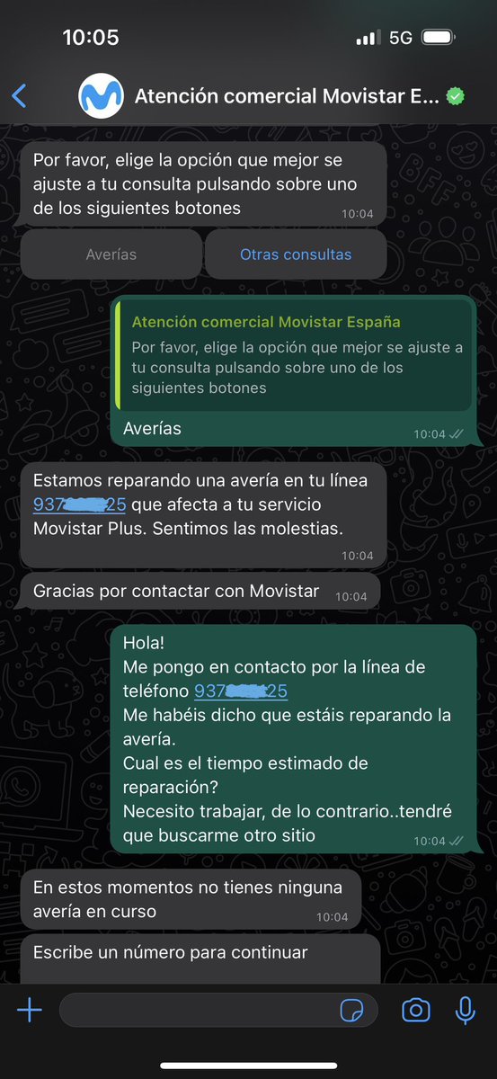 Daniela tweet media