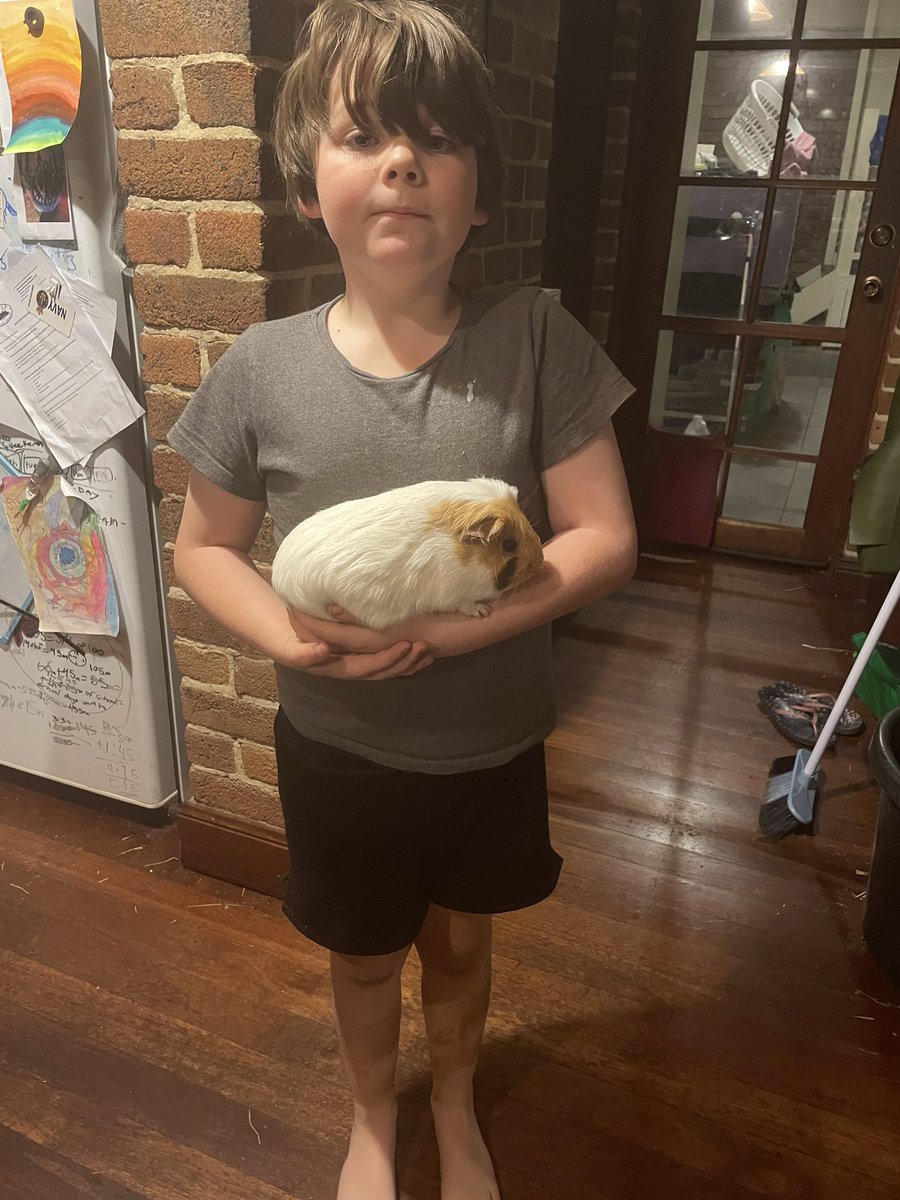 Meep Mama’s Sister tweet media