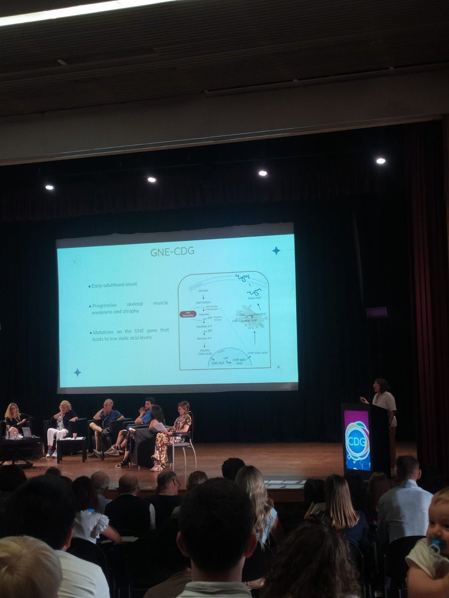 Congrats, Glycoimmunology Group, on a successful 6th World Conference on Congenital Disorders of Glycosylation (CDG)! Special shout-out to Mariana Barbosa for her presentation on "How are researchers translating CDG research into treatments? The GNE Myopathy (GNE-CDG) Case Study"