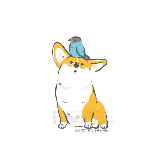 青い鳥とコーギーたち #青い鳥で埋め尽くせ