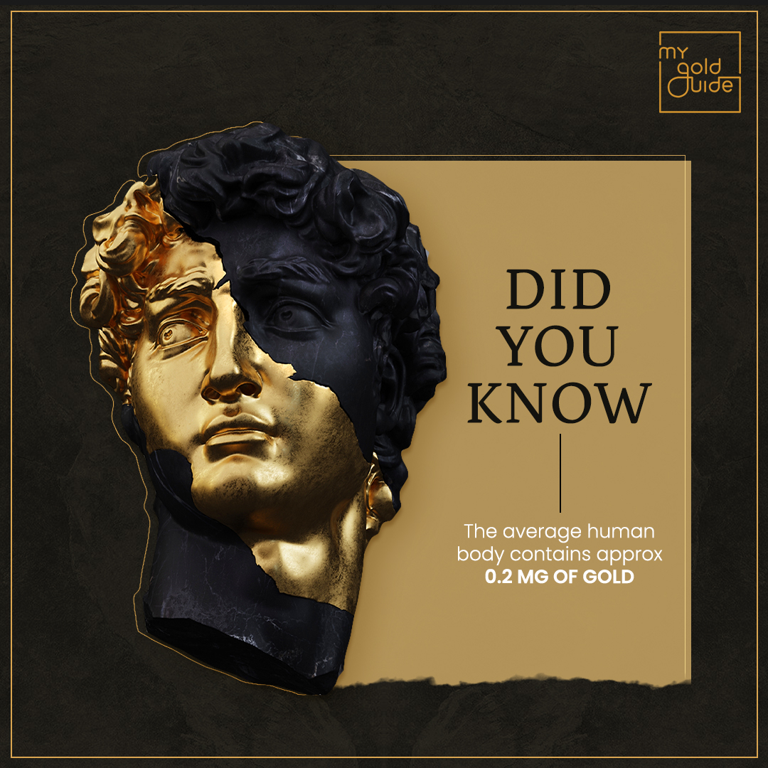 mygoldguide's tweet photo. Did you know that your body had a touch of gold?
Beyond its allure in jewellery and wealth, gold has an unexpected connection to us.
#MyGoldGuide #Gold #DidYouKnow #Wealth #GoldJewellery https://t.co/BLXFKYMUEH