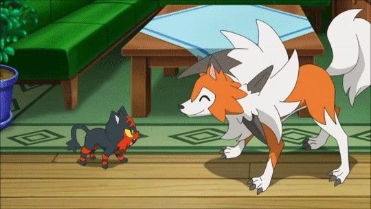 Littens tweet media