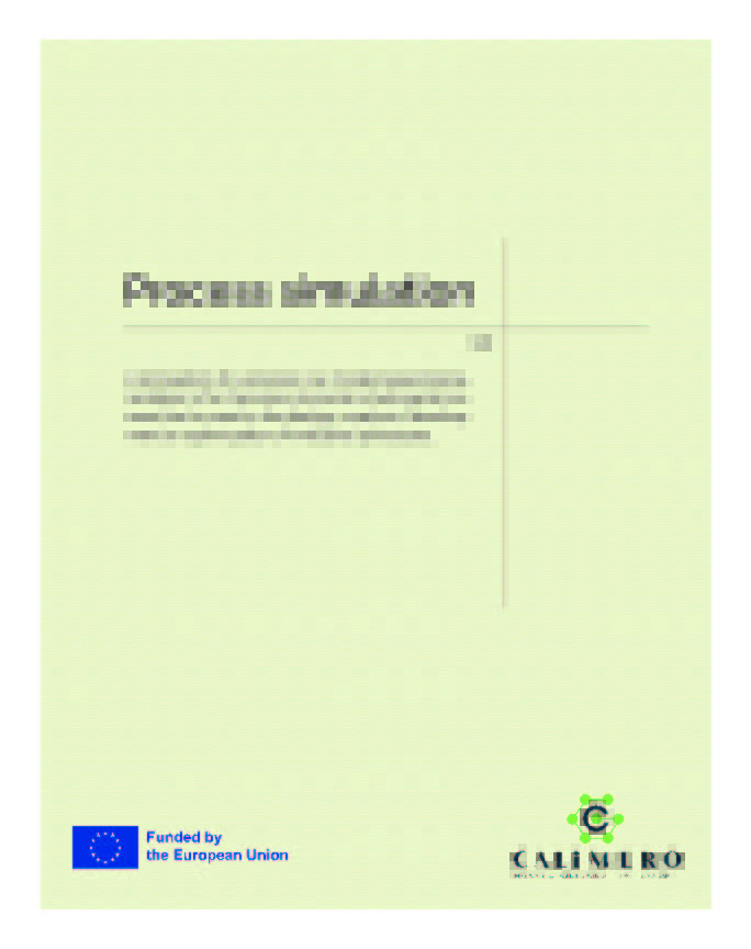 CALIMERO_HE's tweet image. Discover Process Simulation to delve deeper into your CALIMERO journey! 🥇 #CALIMERO #ProcessSimulation