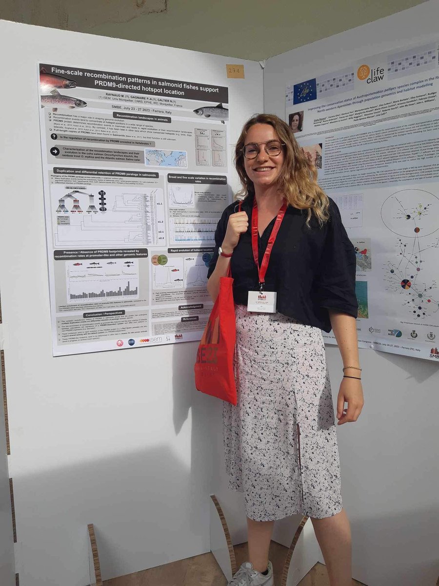 Marie Raynaud tweet media