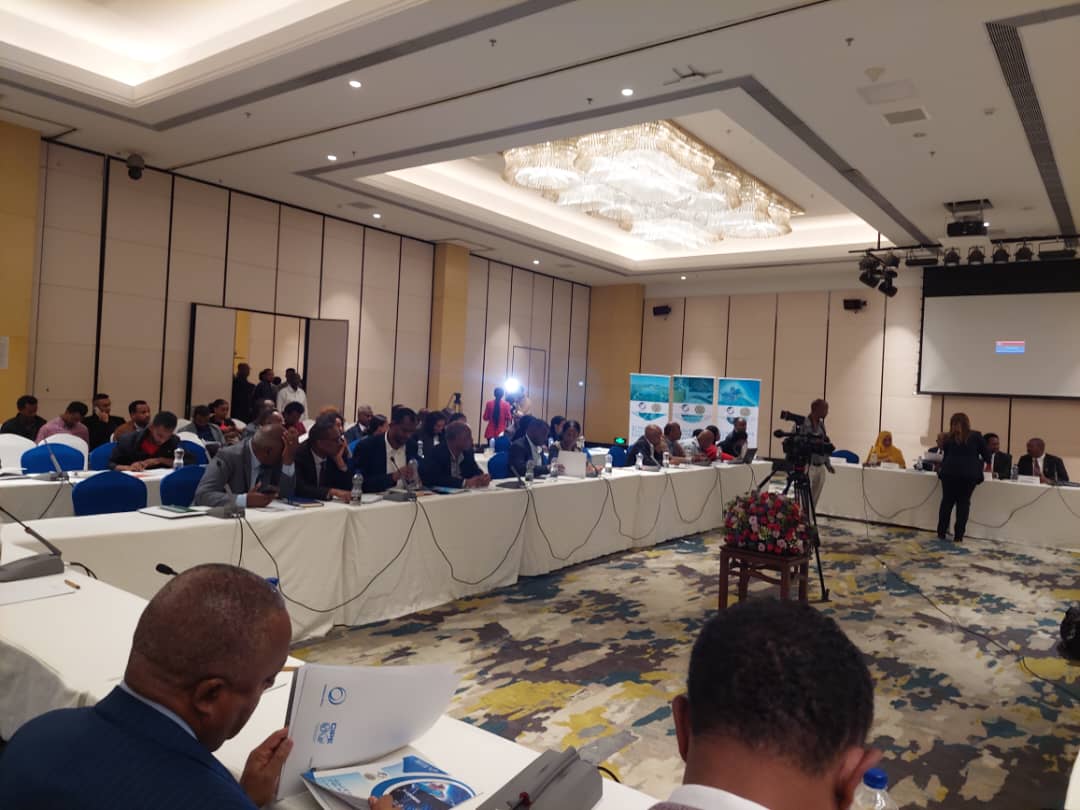 officialPACCI's tweet photo. H.E. Ato. Teshale Belihu, State Minister MOTRI
H.E. Dr.Sofia Kassa, State Minister, Ministry of Agriculture
Eng. Melaku Ezezew, President, Ethiopia Chamber of Commerce and Sectorial Association
#agri #ethiopia #ECSSA #chamber #Minister #MOTRI #PACCI https://t.co/SeLiD1bR9Y
