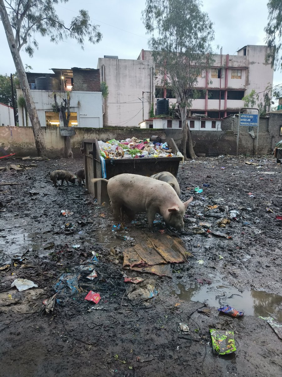 Ganesh Visputay tweet media