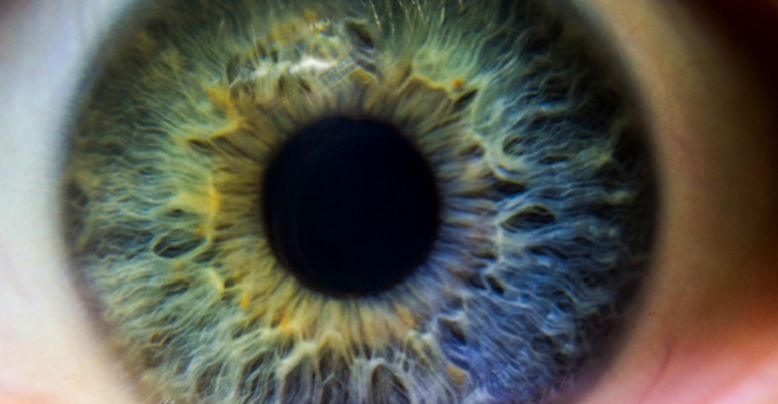 DgtlStationery's tweet photo. The blue light from screens messes with our sleep patterns, strains eyes, and could lead to long-term vision issues.

Find out more in our member @EInk's study with the Harvard School of Public Health in their blog!

➡️ https://t.co/i03enGYHpj

#TechHealthTips #ePaper https://t.co/dXz0oQwwQU