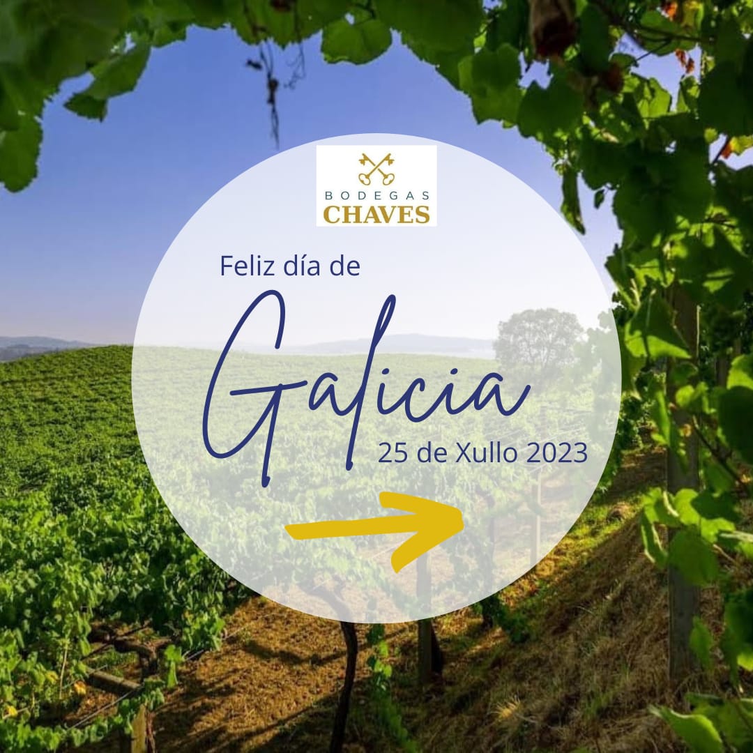Bodegas Chaves S.L. tweet media
