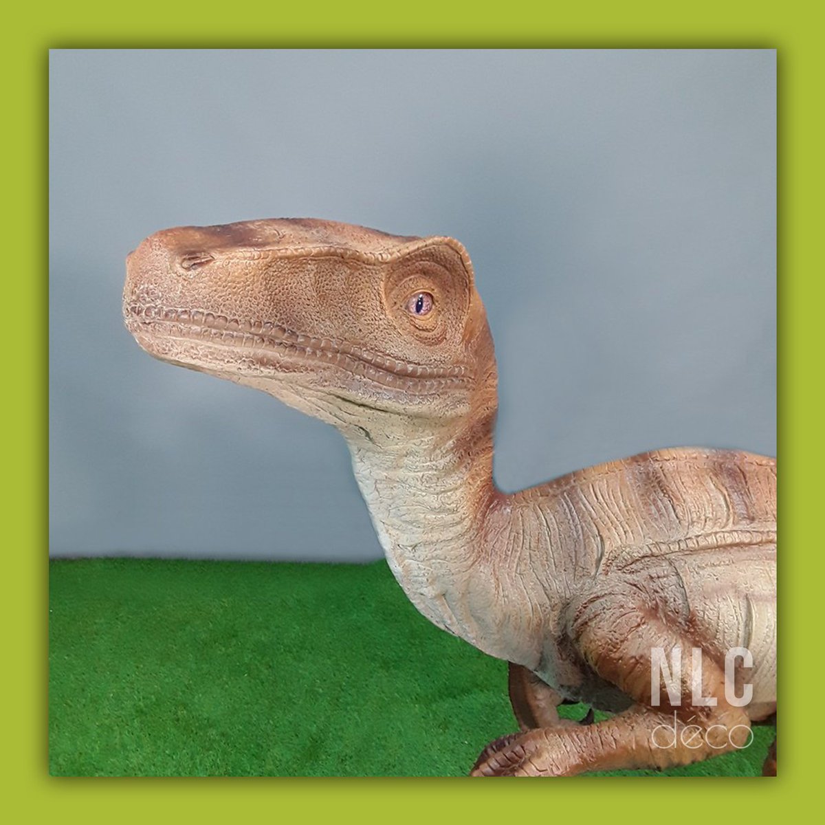 NLC DECO tweet media