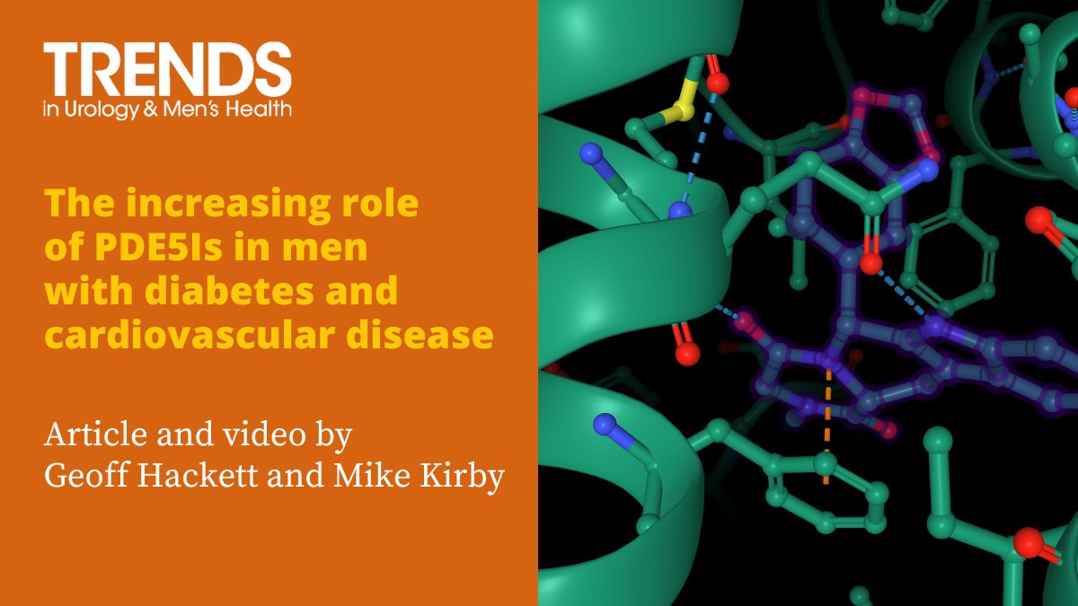 #PDE5Is are underused in men with #Diabetes and #CardiovascularDisease. Geoff Hackett and @profmikekirby consider the evidence in an article and short video discussion.

Article and short video here 👉 wchh.onlinelibrary.wiley.com/doi/full/10.10…