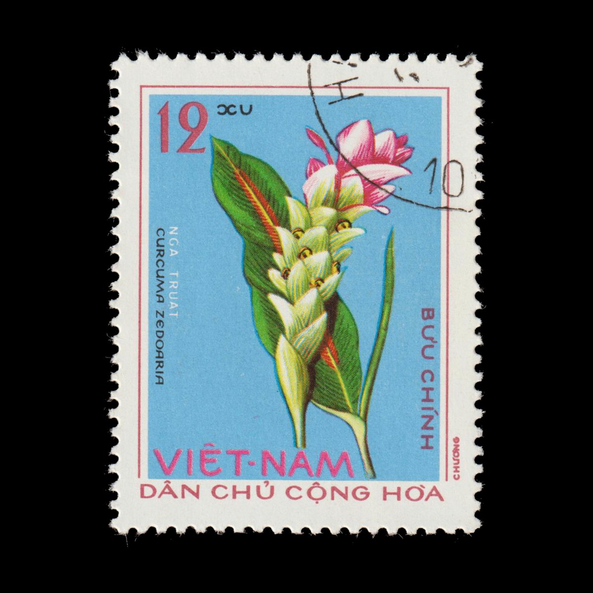 #DidYouKnow Curcuma zedoaria, also known as White Turmeric, has been used in traditional medicine for centuries? It's praised for its anti-inflammatory and antioxidant properties! 🌿💊

❤️YES 🔃NO 🗨️HEALTHFUL

#FunFacts #stamps #philately #NFT #Bitcoin <a href="/opensea/">OpenSea</a> #CurcumaZedoaria