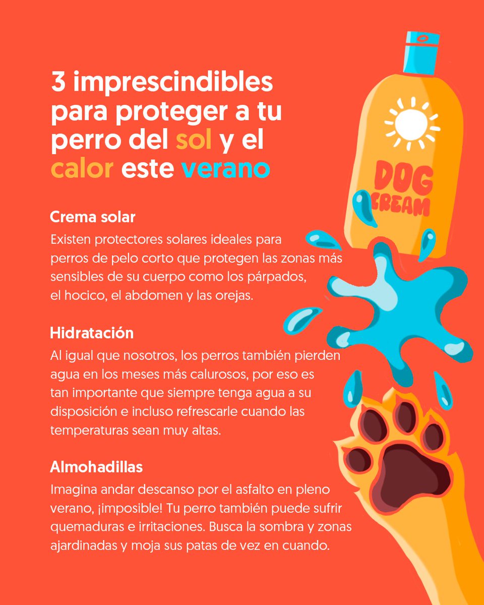 gudog_es's tweet photo. ☀️🔥 Guarda estos imprescindibles para proteger a tu perro del sol y del calor este verano https://t.co/plMM6vZX6S