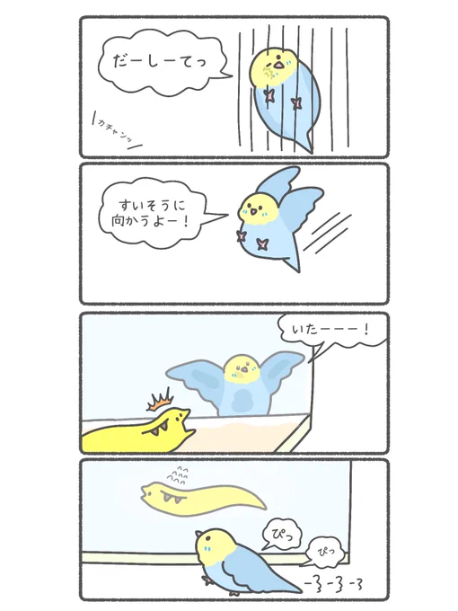 ウツボが泳いでたら追いかけるけど、出てない時は諦めて飼い主の元に飛んでくる