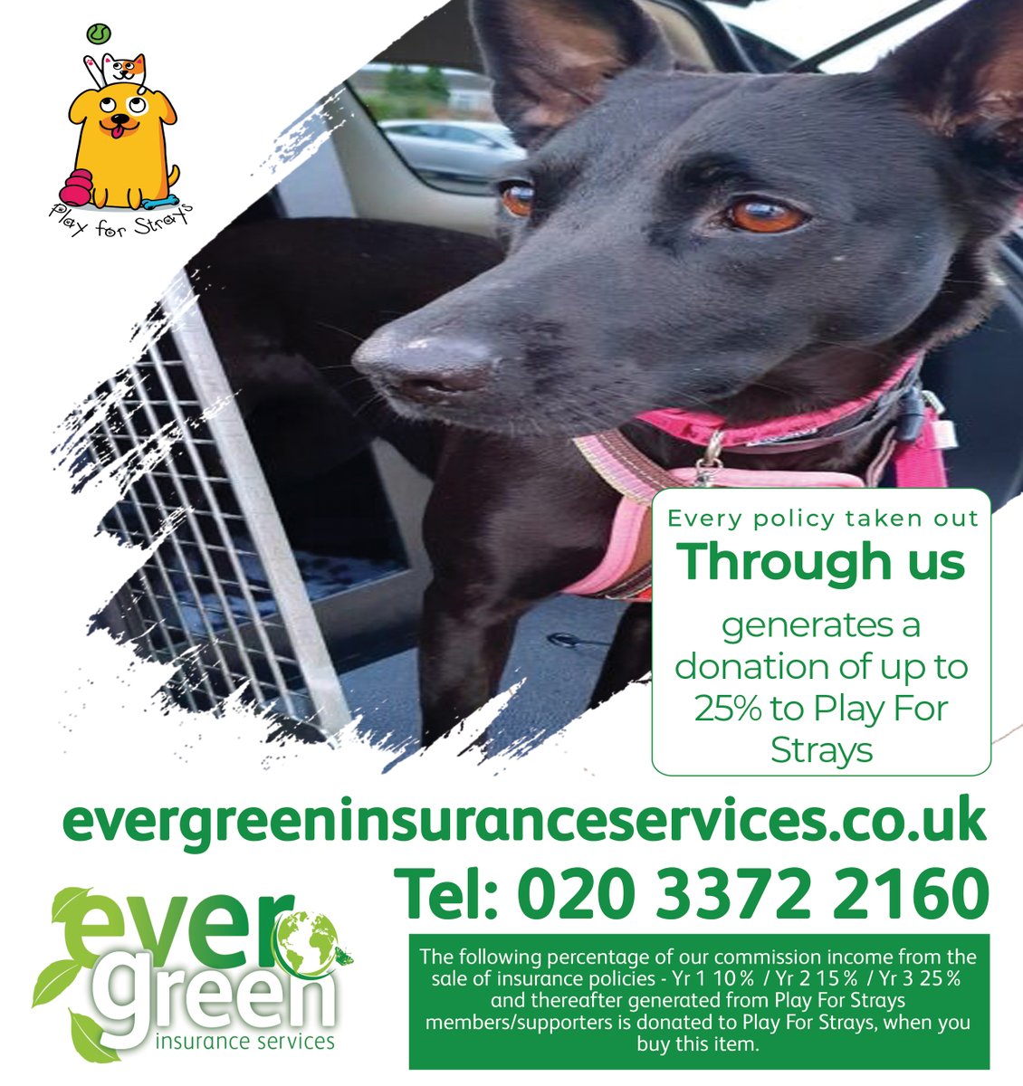 Evergreen Insurance Services tweet media