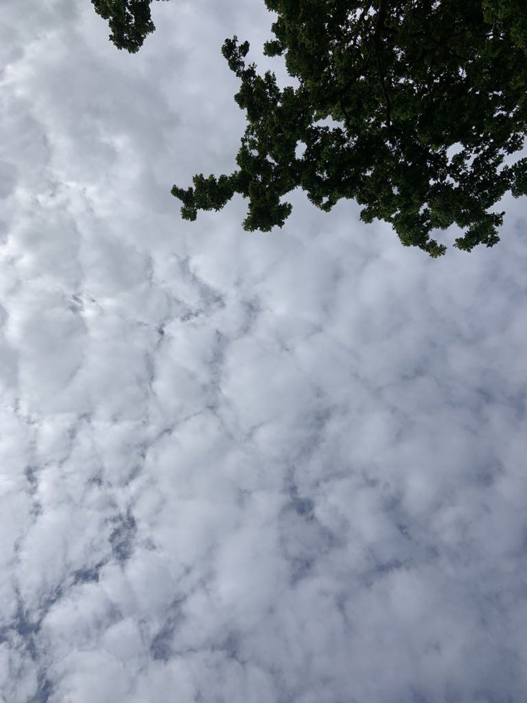 dimchurch's tweet photo. Monday involved a 💇‍♂️ haircut in Worcester, hundreds of logs 🪵 delivered &amp; put away. ☁️ rest, cat 🐈‍⬛ sitting, books 📚 and more well being 😀😀☀️☀️🤩🤩

#SpreadASmile 😀#SmileContagious 😀😀😀#BeKind 😘 #CheckIn ☎️ #ClickThoseHeels 👠 https://t.co/W6bgO6EGyY