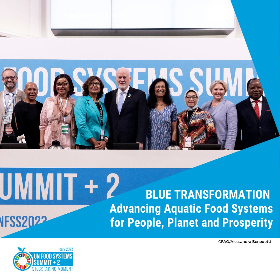 🌊 Blue transformation is key to transforming aquatic #FoodSystems and addressing hunger and poverty. 

Blue transformations is not only possible, it is needed. It must begin now, with us! 🌊🤝🐟

#UNFSS2023 #BlueTransformation