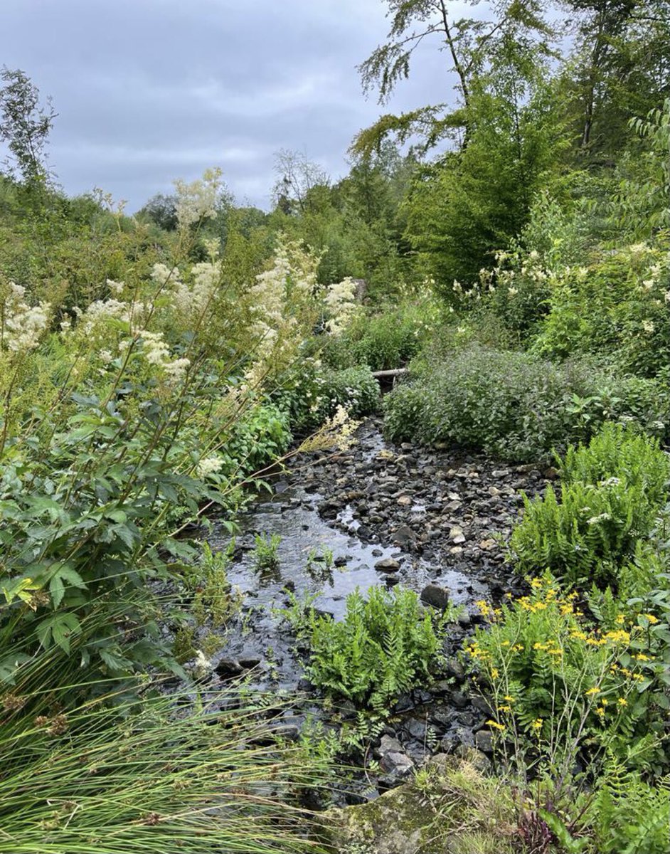 Genieten en een stevige klim in #teutoburgerwald 🌿🍃