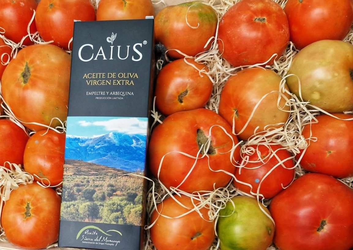 aragonalimentos's tweet photo. 🍅Presentada la primera cosecha de #tomate de la recuperada variedad Zaragozano

Recuperada por @CITAAragon a partir de ocho tipos de semillas cedidas a mediados de los ochenta por varios hortelanos

➕Info👇
https://t.co/NzeC8OkkDH

#LoquevesEs #AragonAlimentos #TomateZaragozano https://t.co/5AKAjonAPh