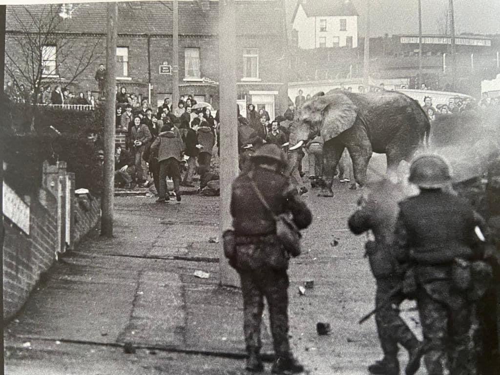 Dublin, 1920. Republican rebels resort to desperate tactics when rioting with the esteemed Blacks & Tans, by releasing a kidnapped elephant. 

Dougal the elephant would go on to crush 14 brave soldiers before he was finally taken down with a Lewis Machine Gun. #IrishHistory