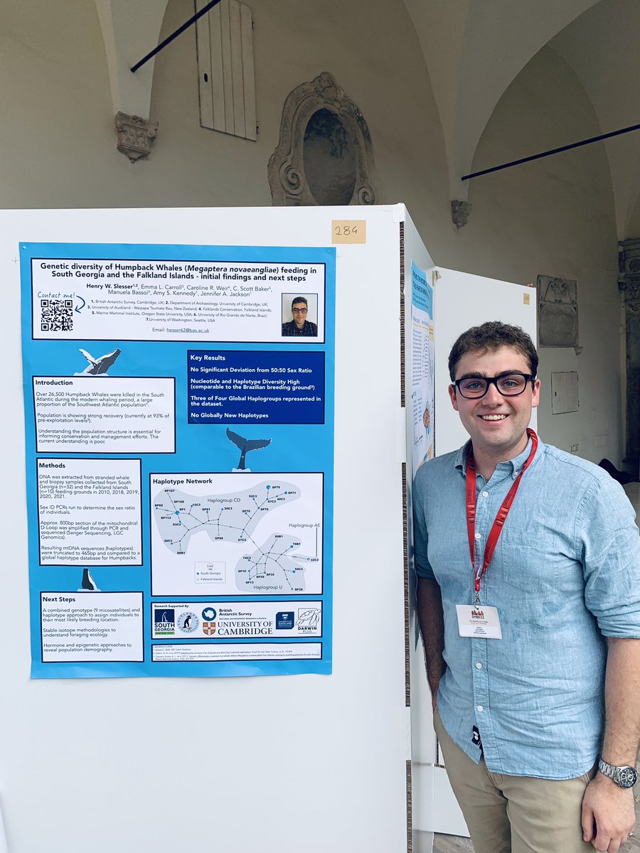 Presenting initial findings on the population structure of South Atlantic Humpback Whales at the SMBE conference in Ferrara, Italy. Working with @CamESS_CCLEAR @BAS_News and supported by @SGHTcharitysite and @FI_Conservation