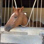 Photo by Team Lodge Racing (@RacingLodge)