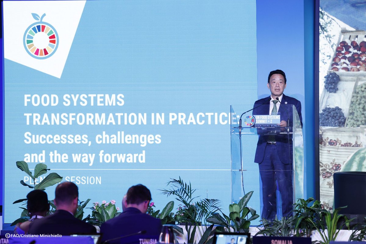 FAODG's tweet image. To achieve #SDGs, we must transform our agrifood systems. This means we need to change our business model, we need to change the way we work together. And, we need to optimize resources, maximize outputs and achieve tangible impacts at scale. #UNFSS2023 #Agenda2030