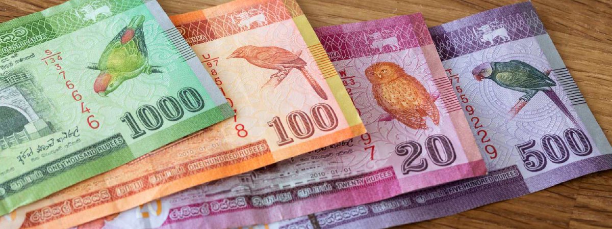 NewsfirstSL's tweet photo. Sri Lanka Rupee: Asia’s Best to Worst in Three Weeks

Details: https://t.co/DgfWW32fHR

#news #newsfirst #news1st #localnews #srilankanews #latestnewsupdate #latestupdates #SLNews #NewsSL #SriLanka #SL #LKA #slrupee #slcurrency #rupee #srilankacurrency #besttoworst https://t.co/Y06FS04nmT