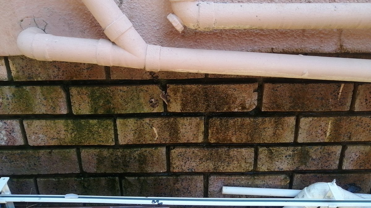 tumi2909's tweet photo. @IntegriSure you have the worst service ever, we did a claim, and you send plumbers @draingeyserplumbers that did not know what they were doing,did a shit do job.we called you and you still tell us to pay another 2k.I want to expose you.I will not stop. Next I'm going to the news https://t.co/hMNHuor4FW