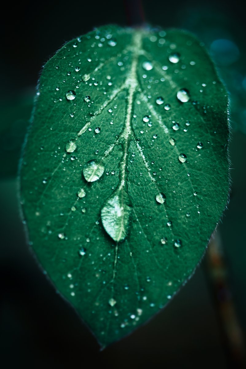 it's the little things that count 📸
GM GM ❤️‍🔥and be kind to each other