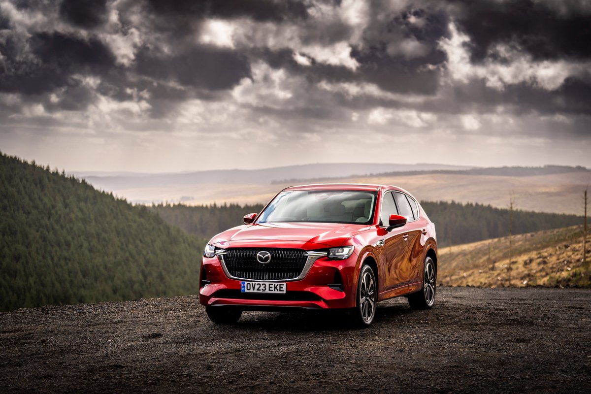 Mitchell Group tweet media