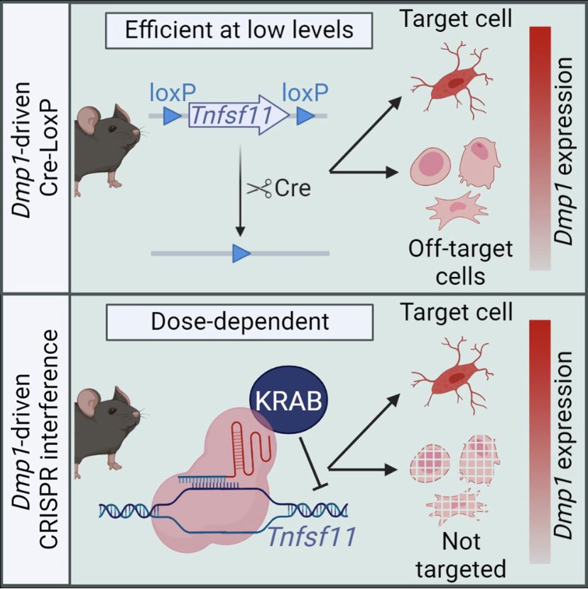 Our newest publication is online! Check it out at sciencedirect.com/science/articl…