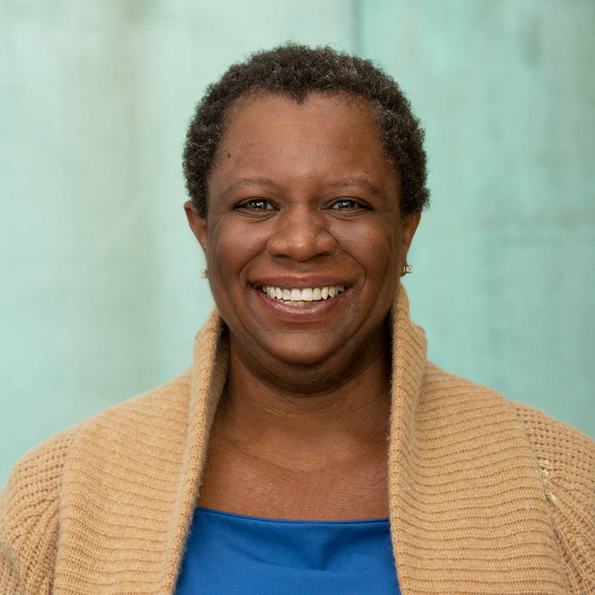 We are proud to announce that Shaakirrah R. Sanders has been named Dickinson Law's first Associate Dean for Antiracism and Critical Pedagogy. She is the first person in the country to assume an antiracism deanship. Congrats, Dean Sanders!

Learn more: bit.ly/3Y2n9Vh