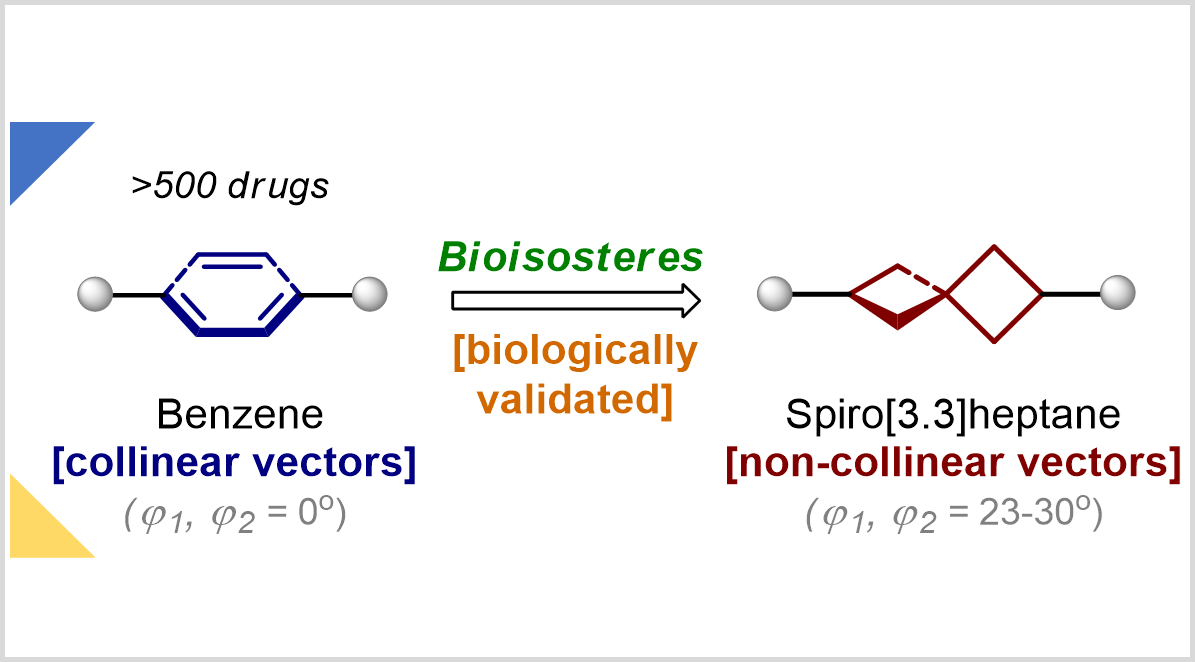 MykhailiukChem's tweet photo. Spiro[3.3]heptane mimics mono-, meta- and para-phenyl rings in drugs!!!
Today in @ChemRxiv: https://t.co/RKYEYNvYDZ https://t.co/dVvwJGZ3LW