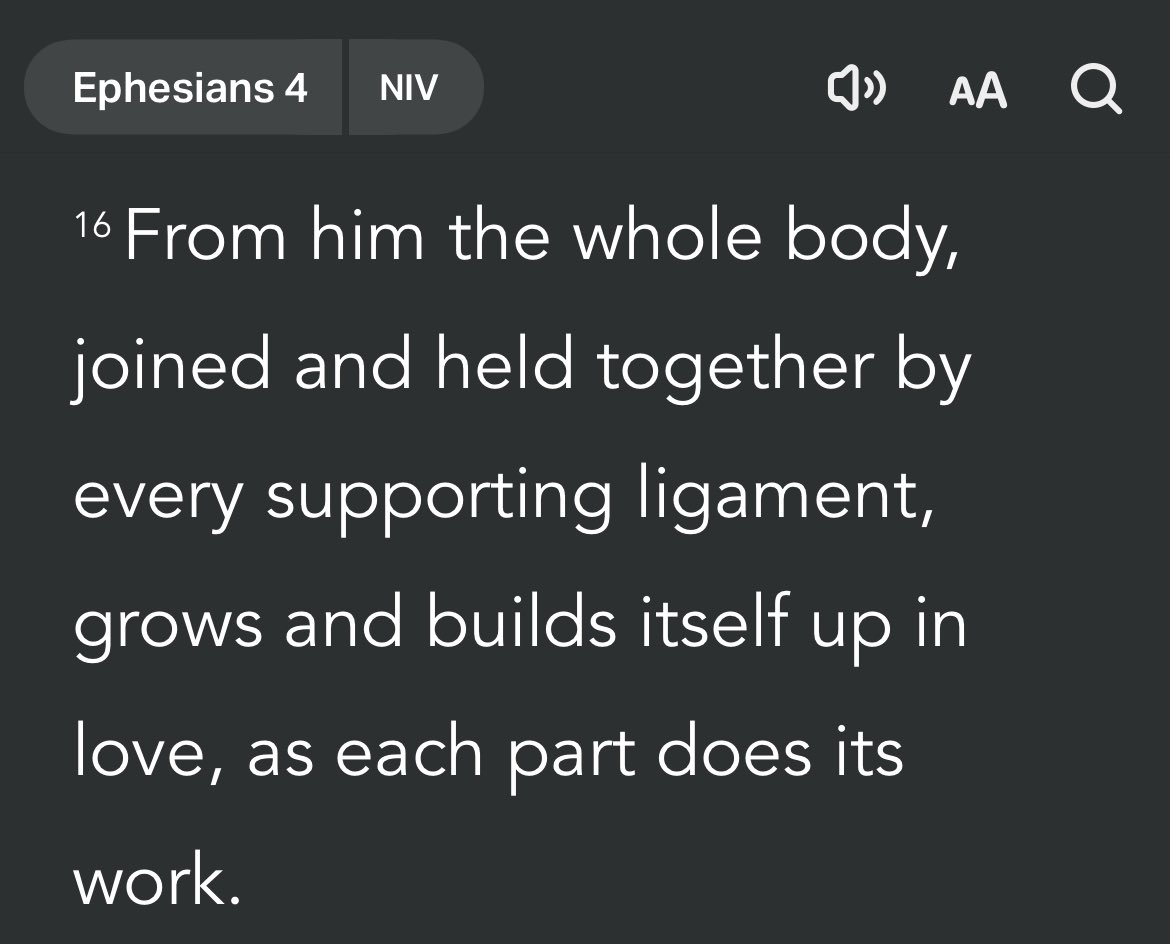 santiagoAM115's tweet photo. It’s #TransformationalTuesday and @Asael_Ruvalcaba I see your #flatbill #Fitleaders and raise you brother! @fit_leaders where you at today?👊🏼#Capcut #RootedInStrengthCA https://t.co/OMR1VnWtAG