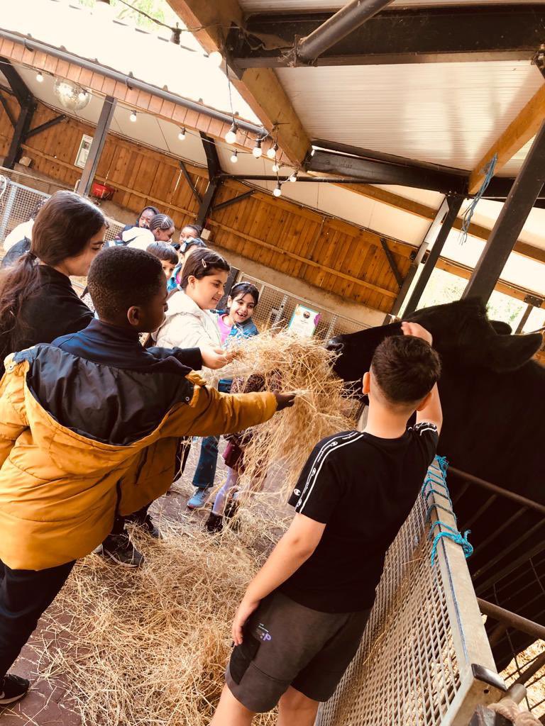 peaceofmind455's tweet photo. #Summertime @ #Peaceofmind 

#Day2 #Animalday😍

Children and Grown-ups met animals and had fun🤩

Our lovely @Somosa_Sisters served freshly made and delicious lunch 🥙 🥗

#Summerholiday2023 #Activties #Fun #Refugees🧡 #FreeSchoolMeal #BrightentheDay @gateshead @CFTyneWearNland https://t.co/veEg3FvCTv