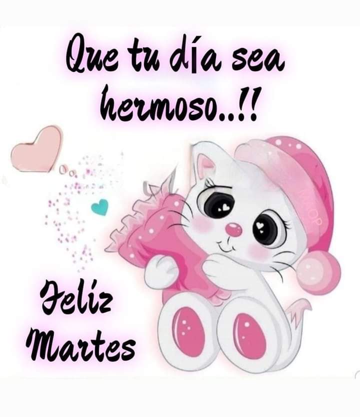 maria lovera rivas (@majarivas) on Twitter photo 