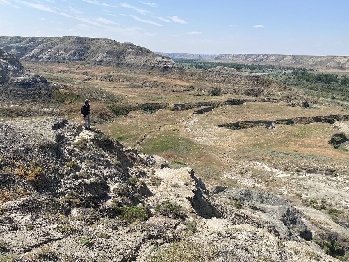 DavidEvans_ROM's tweet image. Last week Federico Fanti &amp;amp; I visited the ‘Superduck’ locality that produced the type of Probrachylophosaurus to run a section. One of our big #SADP2023 finds is a braincase of this taxon from just across the river in Alberta (!)
Great to see my old buddy Mark Goodwin too