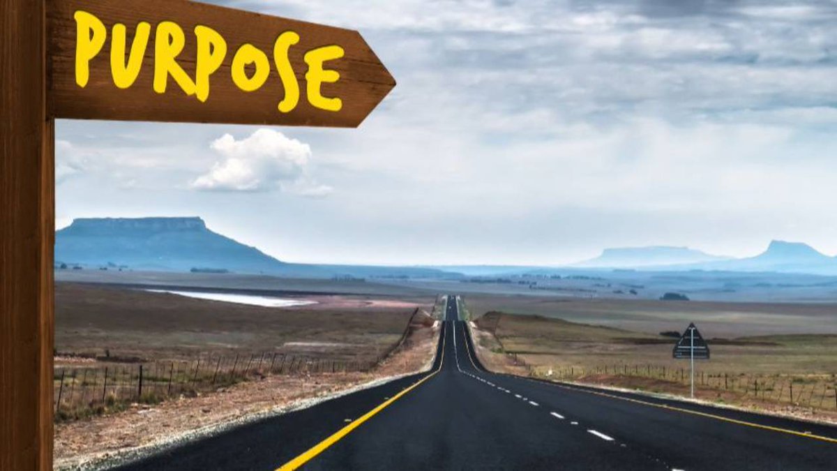 Mertine Middelkoop tweet media