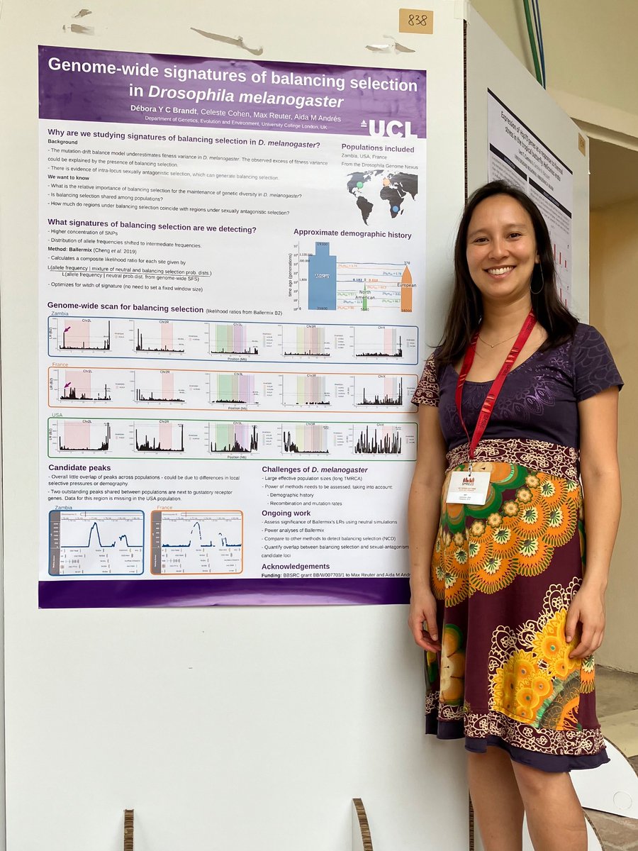 Hey if you’re at #SMBE2023 and want to chat about balancing selection, natural populations of Drosophila melanogaster, slim simulations (and tricks to deal with large Ne), sexually antagonistic selection or anything else, come to my poster 838 at San Paolo cloisters tonight!