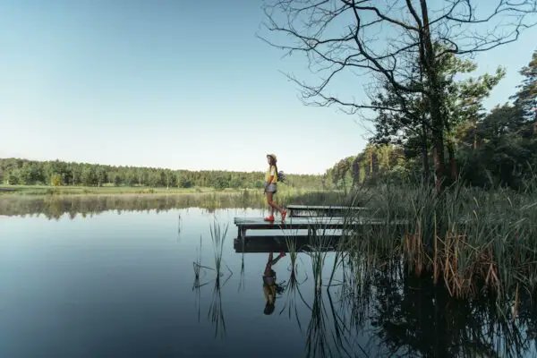 Using freshwater lakes for drinking water thehomesteadsurvival.com/using-freshwat…