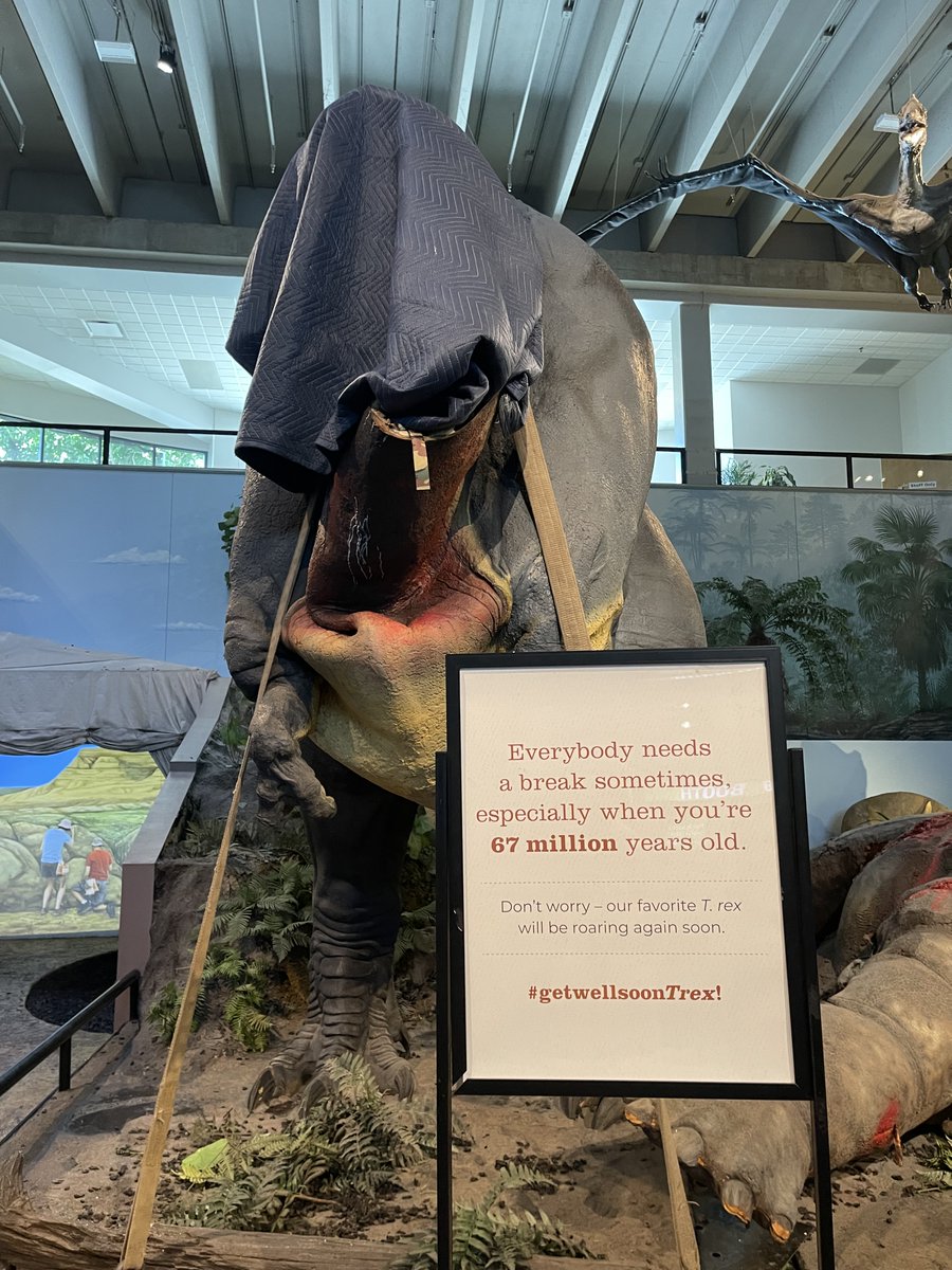 STLScienceCtr's tweet image. Looks like our T. rex isn&apos;t the only bird who needs saving. 🦖#XTwitter #Xwitter #GetWellSoonTrex #SaveTheBird