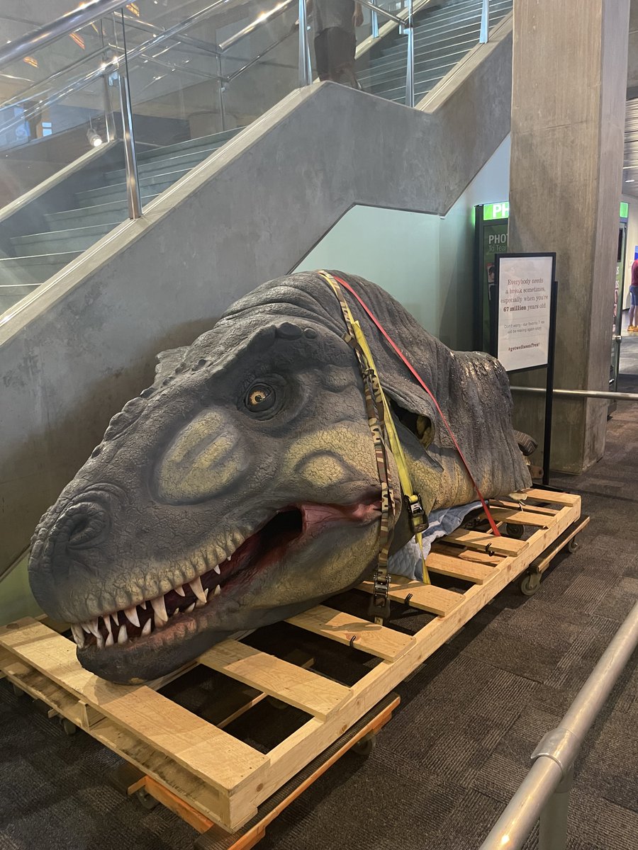 STLScienceCtr's tweet image. Looks like our T. rex isn&apos;t the only bird who needs saving. 🦖#XTwitter #Xwitter #GetWellSoonTrex #SaveTheBird